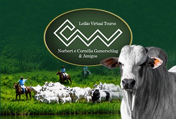 LEILÃO VIRTUAL TOUROS MARCA CW & AMIGOS